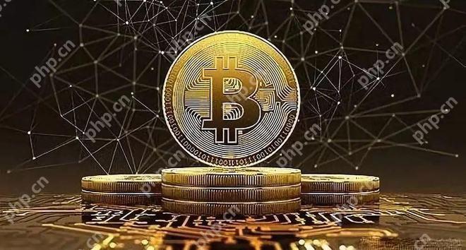 币圈免费行情网站软件推荐 币圈虚拟币app排名前十 - php中文网